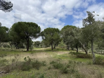 Terreno para Venda em Santo Estêvão