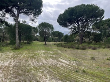 Terreno para Venda em Santo Estêvão