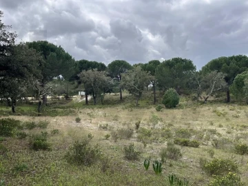 Terreno para Venda em Santo Estêvão