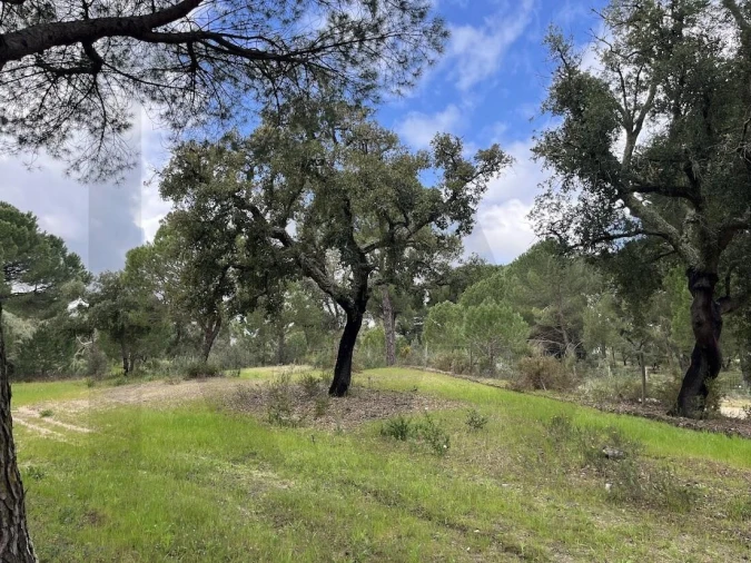 Terreno para Venda em Santo Estêvão Foto 8