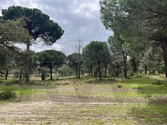 Terreno para Venda em Santo Estêvão Foto 15