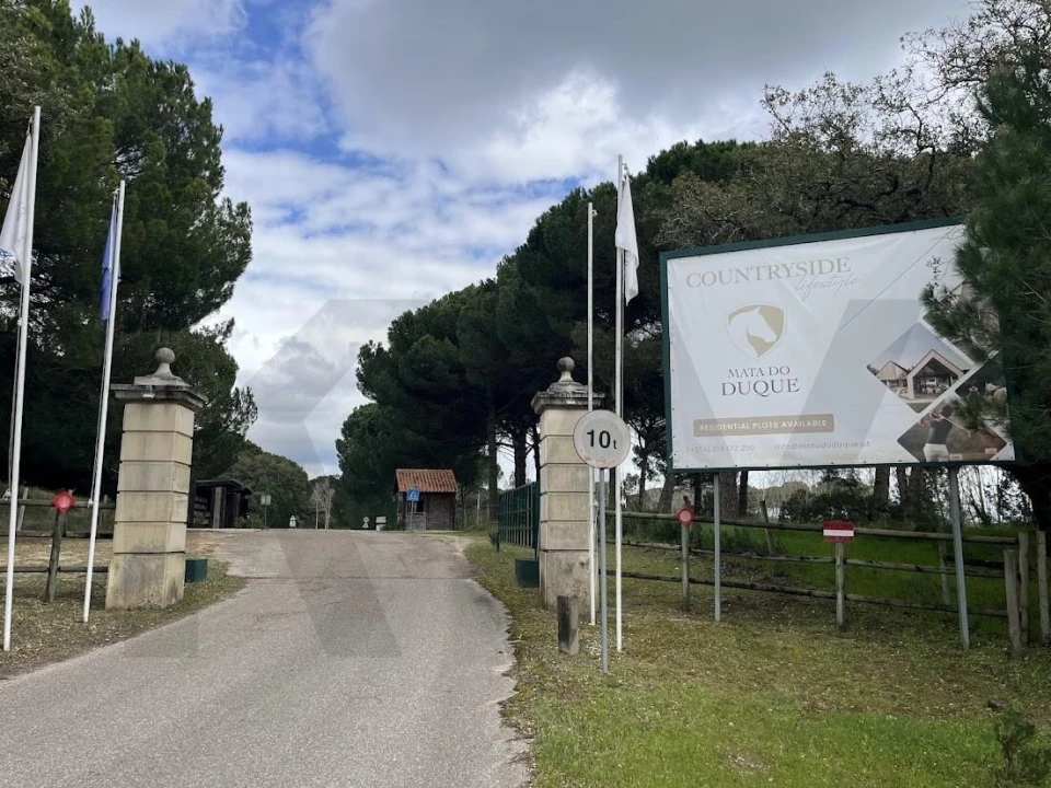 Terreno para Venda em Santo Estêvão Foto 1