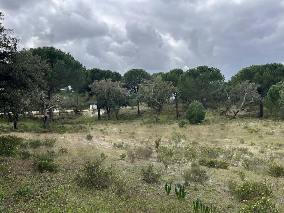 Terreno para Venda em Santo Estêvão Foto 14
