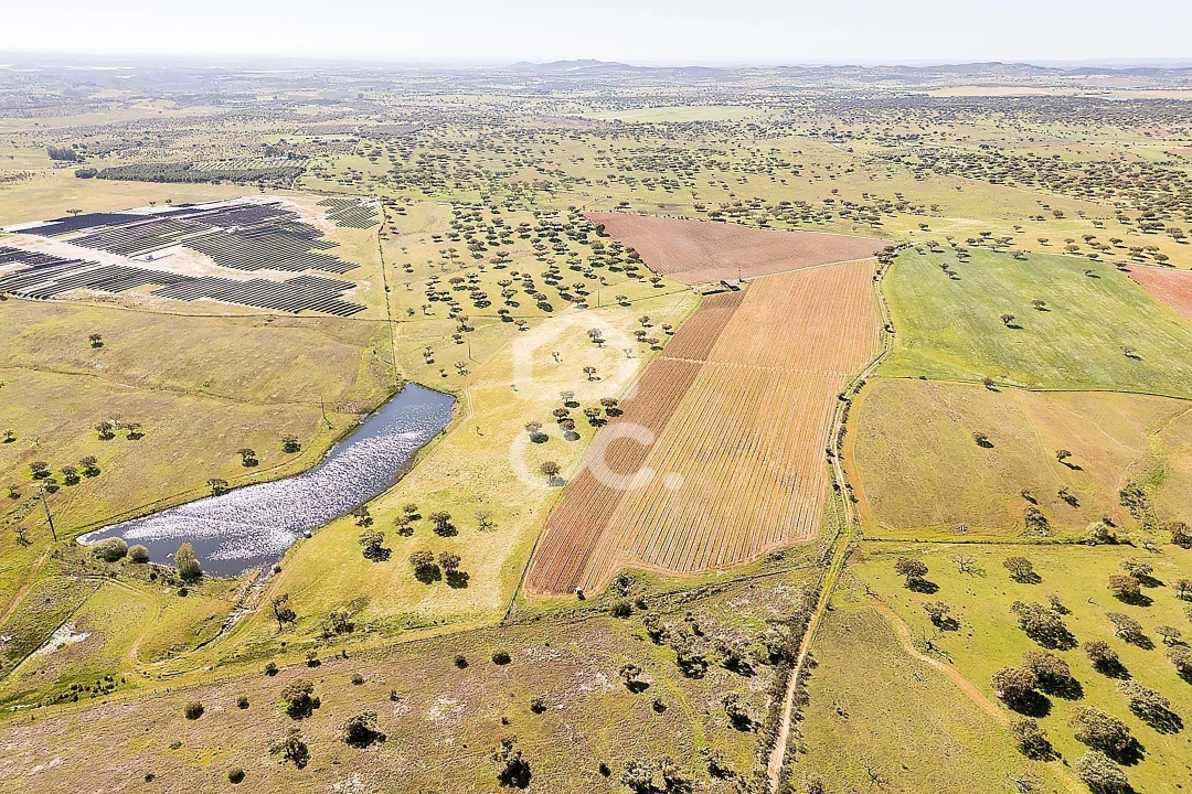 Terreno para Venda em Beja (Santiago Maior e São João Baptista) Foto 14