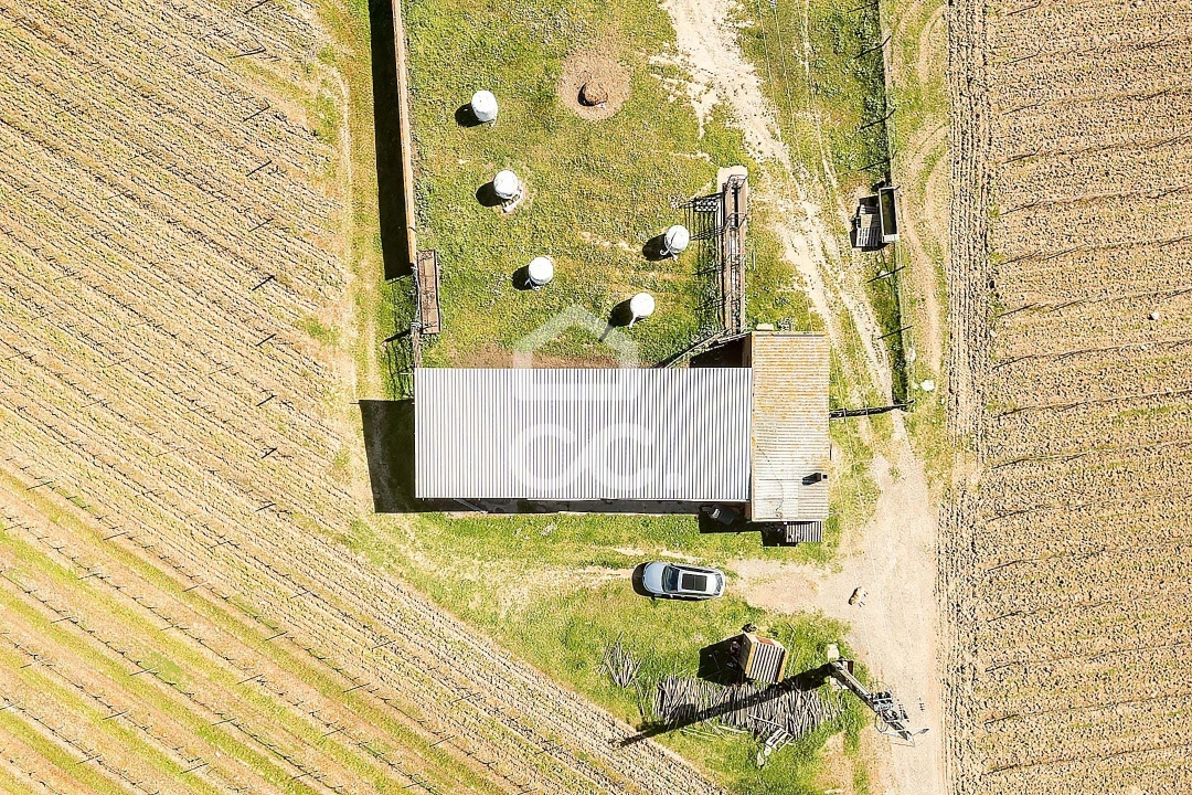Terreno para Venda em Beja (Santiago Maior e São João Baptista) Foto 3