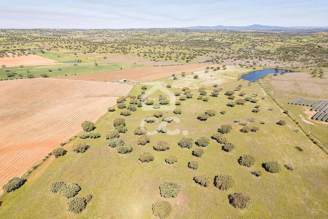 Terreno para Venda em Beja (Santiago Maior e São João Baptista) Foto 43