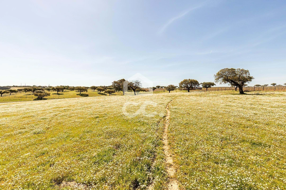 Terreno para Venda em Beja (Santiago Maior e São João Baptista) Foto 67