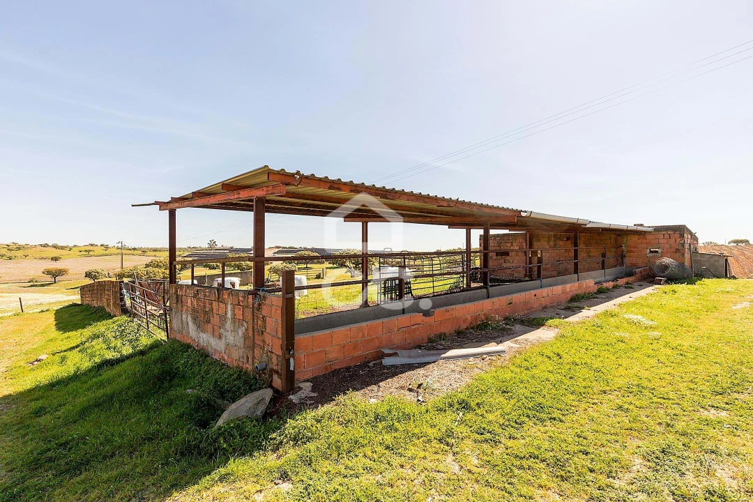 Terreno para Venda em Beja (Santiago Maior e São João Baptista) Foto 54