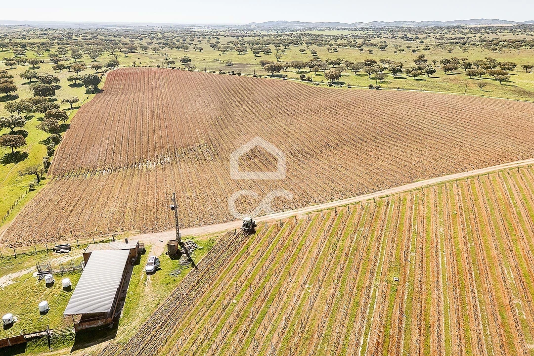 Terreno para Venda em Beja (Santiago Maior e São João Baptista) Foto 28