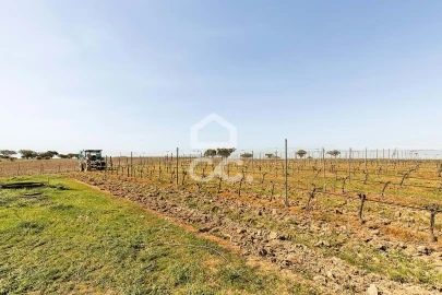 Terreno para Venda em Beja (Santiago Maior e São João Baptista)