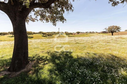 Terreno para Venda em Beja (Santiago Maior e São João Baptista)
