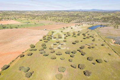 Terreno para Venda em Beja (Santiago Maior e São João Baptista)