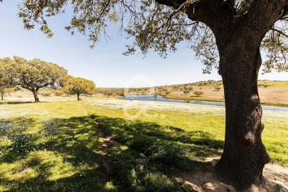 Terreno para Venda em Beja (Santiago Maior e São João Baptista)