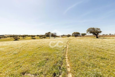 Terreno para Venda em Beja (Santiago Maior e São João Baptista)