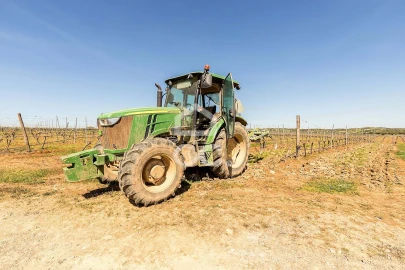 Terreno para Venda em Beja (Santiago Maior e São João Baptista)