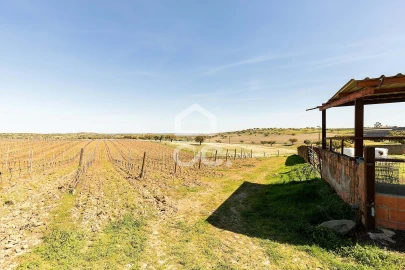 Terreno para Venda em Beja (Santiago Maior e São João Baptista)