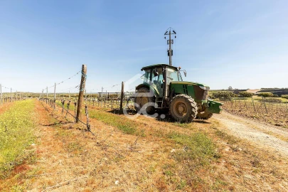 Terreno para Venda em Beja (Santiago Maior e São João Baptista)
