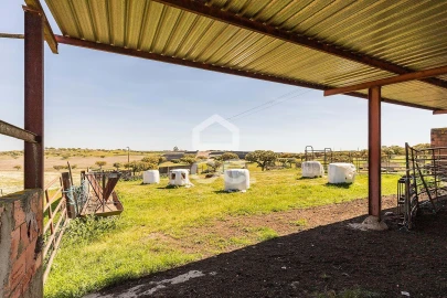 Terreno para Venda em Beja (Santiago Maior e São João Baptista)