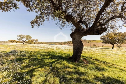 Terreno para Venda em Beja (Santiago Maior e São João Baptista)