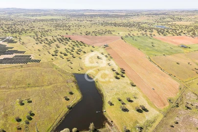 Terreno para Venda em Beja (Santiago Maior e São João Baptista)