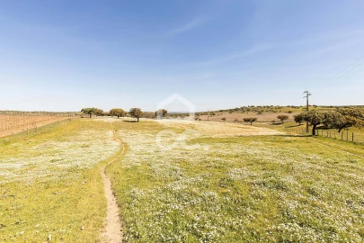 Terreno para Venda em Beja (Santiago Maior e São João Baptista)