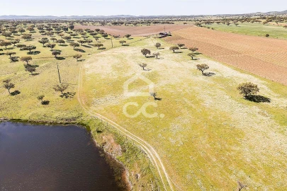 Terreno para Venda em Beja (Santiago Maior e São João Baptista)
