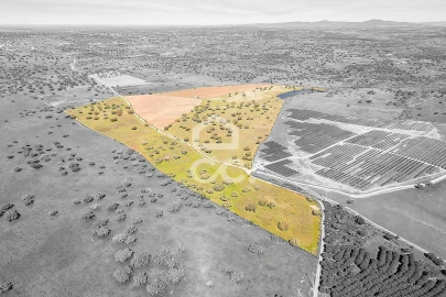 Terreno para Venda em Beja (Santiago Maior e São João Baptista)