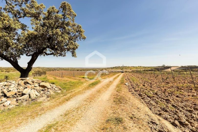Terreno para Venda em Beja (Santiago Maior e São João Baptista)