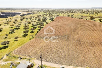 Terreno para Venda em Beja (Santiago Maior e São João Baptista)