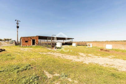 Terreno para Venda em Beja (Santiago Maior e São João Baptista)