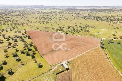 Terreno para Venda em Beja (Santiago Maior e São João Baptista)