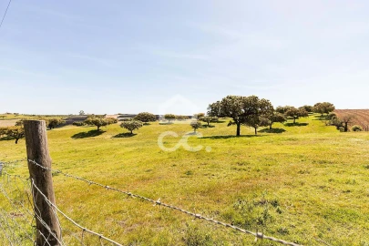 Terreno para Venda em Beja (Santiago Maior e São João Baptista)