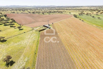 Terreno para Venda em Beja (Santiago Maior e São João Baptista)
