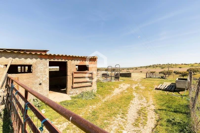 Terreno para Venda em Beja (Santiago Maior e São João Baptista)