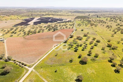 Terreno para Venda em Beja (Santiago Maior e São João Baptista)