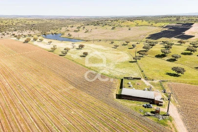 Terreno para Venda em Beja (Santiago Maior e São João Baptista)