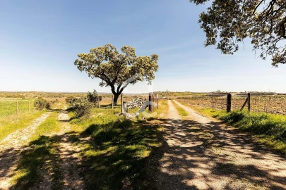 Terreno para Venda em Beja (Santiago Maior e São João Baptista)