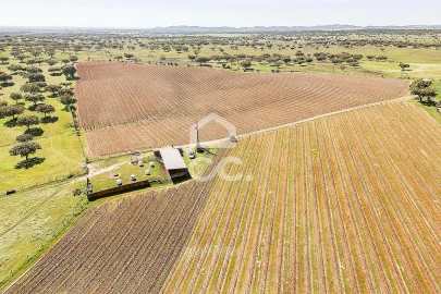 Terreno para Venda em Beja (Santiago Maior e São João Baptista)