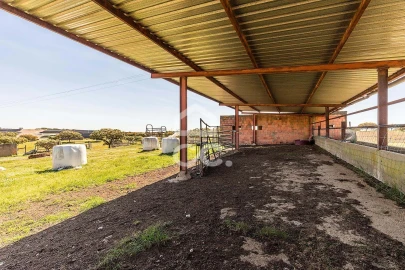 Terreno para Venda em Beja (Santiago Maior e São João Baptista)