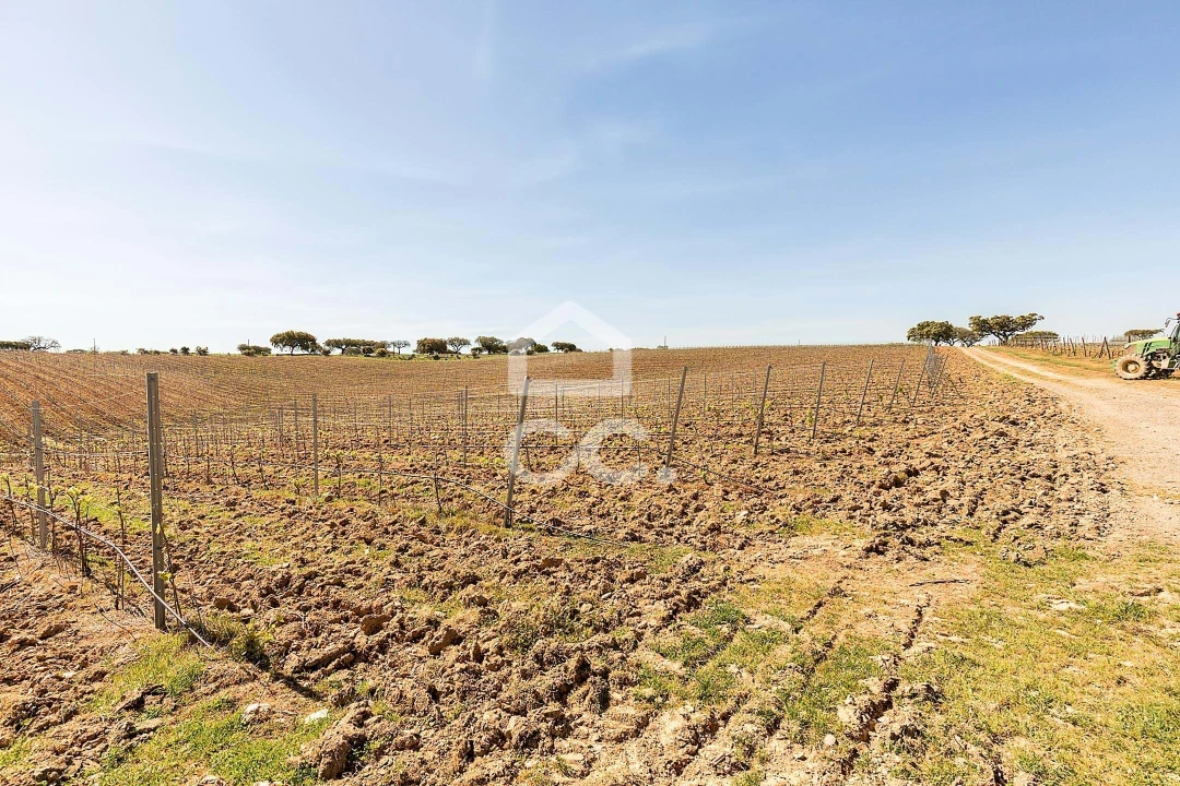 Terreno para Venda em Beja (Santiago Maior e São João Baptista) Foto 49