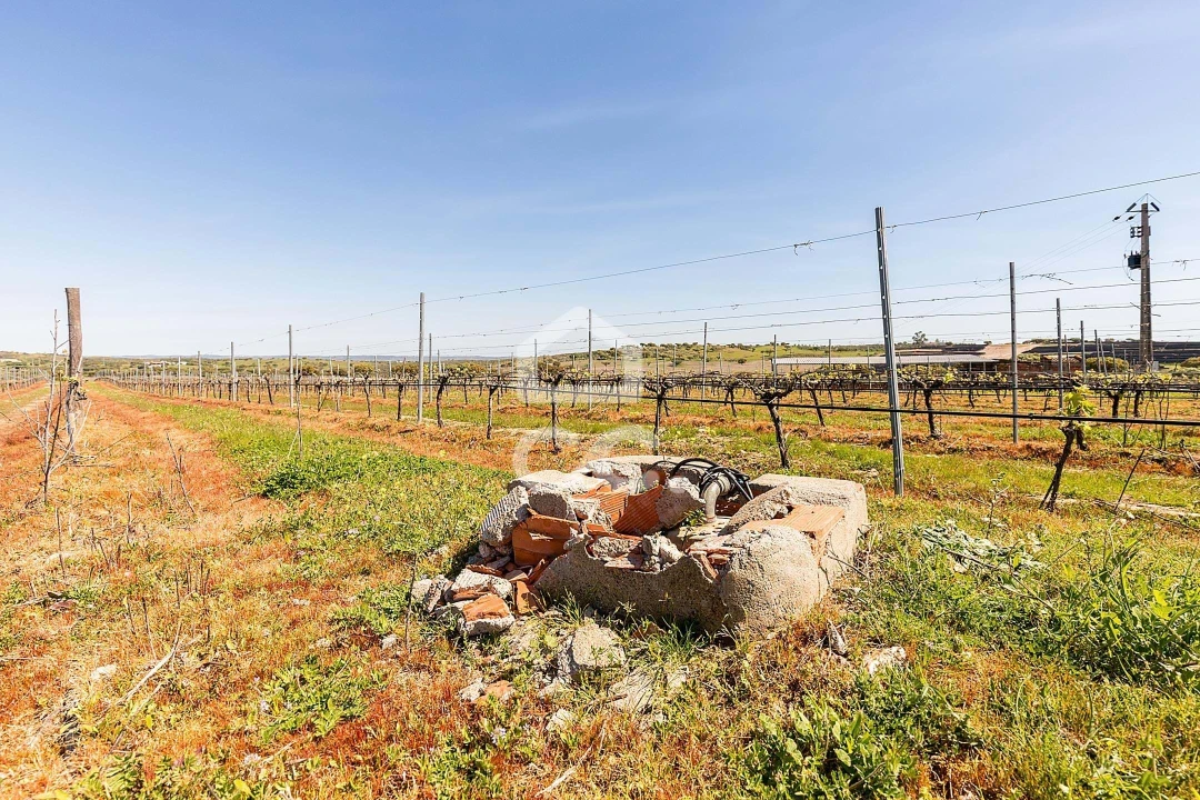 Terreno para Venda em Beja (Santiago Maior e São João Baptista) Foto 10