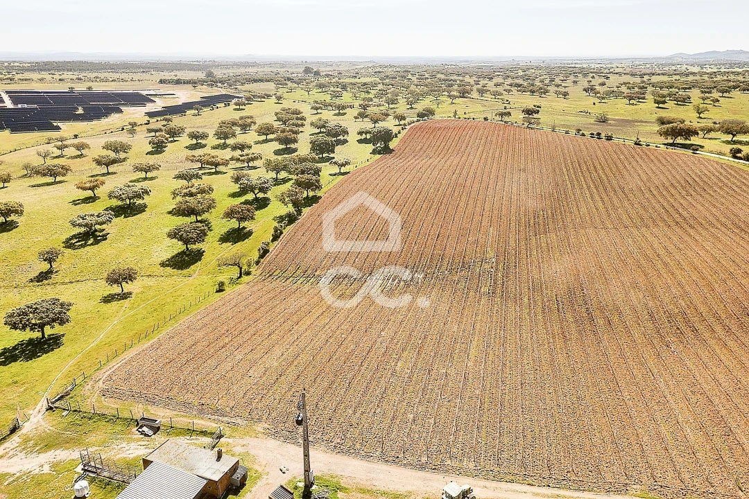 Terreno para Venda em Beja (Santiago Maior e São João Baptista) Foto 29
