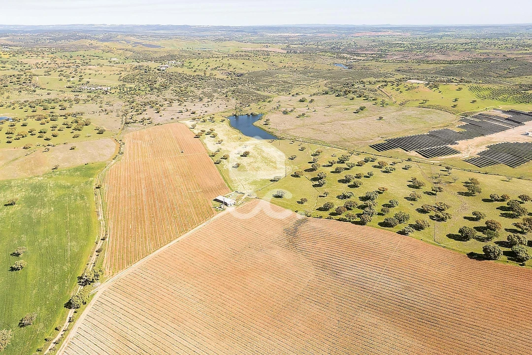 Terreno para Venda em Beja (Santiago Maior e São João Baptista) Foto 35