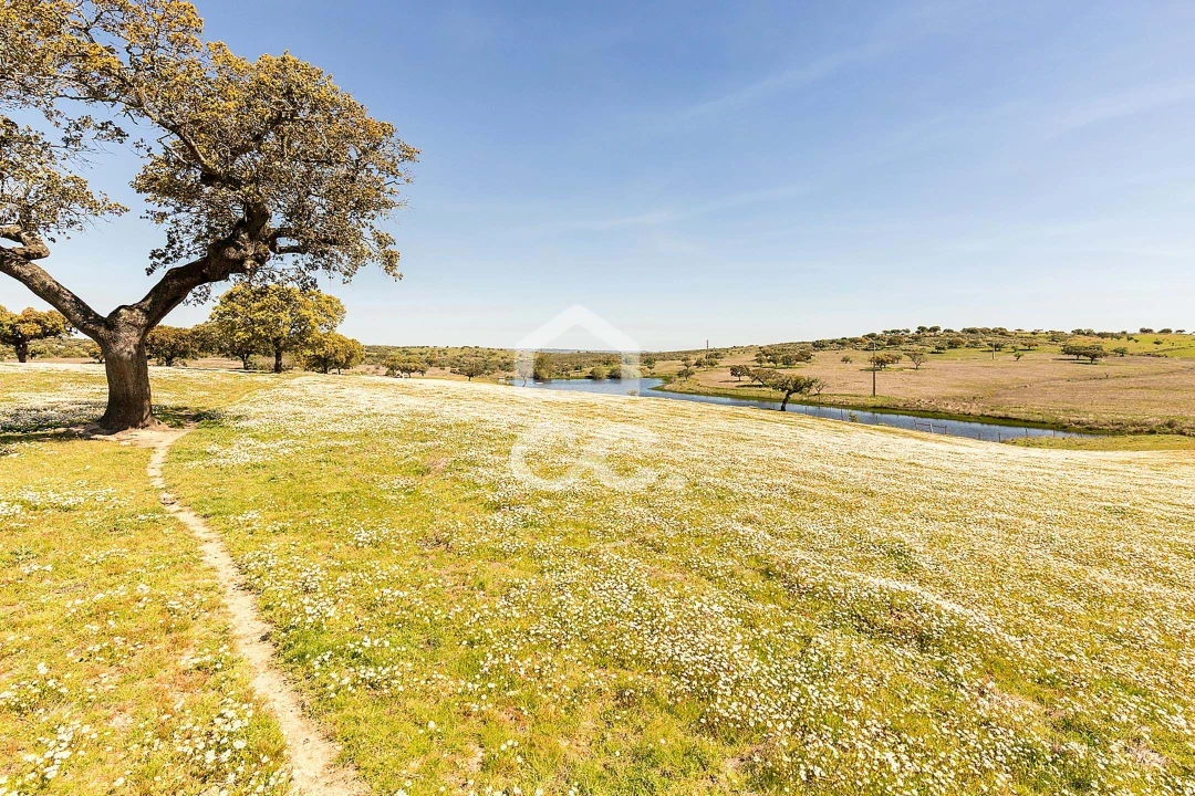 Terreno para Venda em Beja (Santiago Maior e São João Baptista) Foto 68