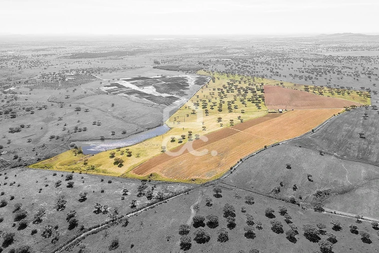 Terreno para Venda em Beja (Santiago Maior e São João Baptista) Foto 2