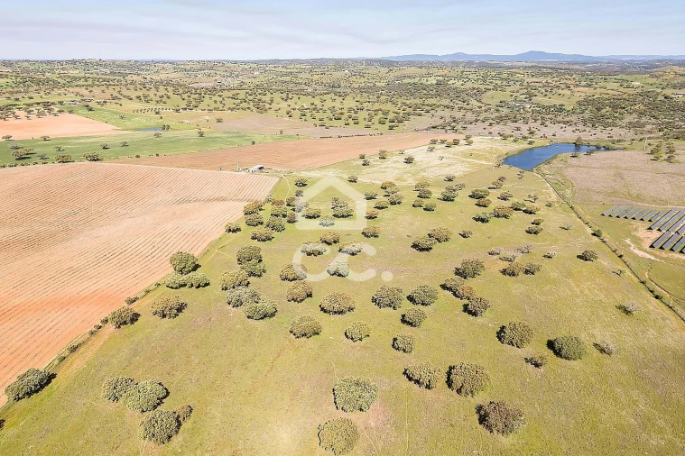Terreno para Venda em Beja (Santiago Maior e São João Baptista) Foto 43
