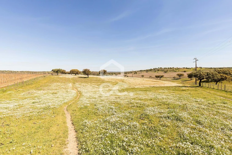 Terreno para Venda em Beja (Santiago Maior e São João Baptista) Foto 71