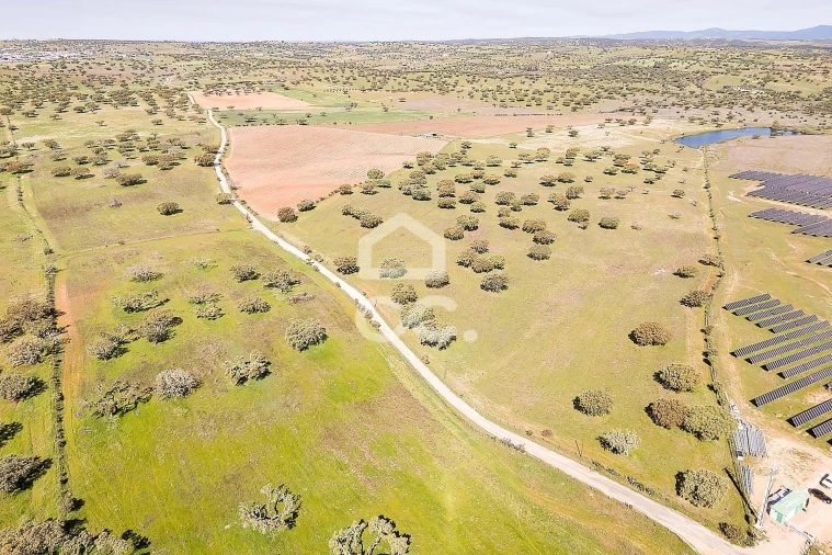 Terreno para Venda em Beja (Santiago Maior e São João Baptista) Foto 42