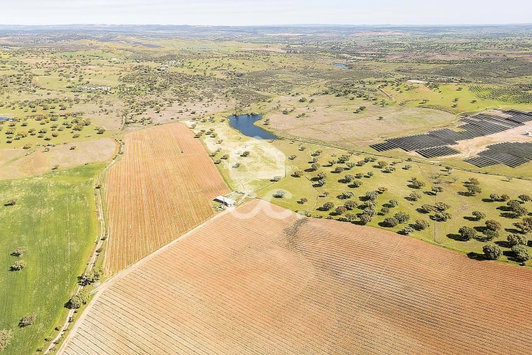 Terreno para Venda em Beja (Santiago Maior e São João Baptista) Foto 35