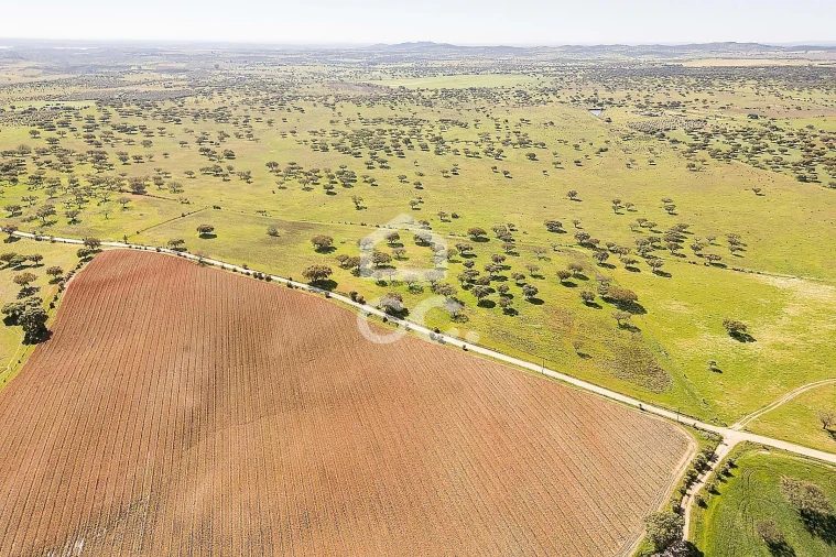 Terreno para Venda em Beja (Santiago Maior e São João Baptista) Foto 20